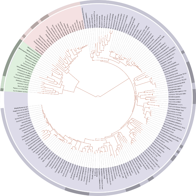 A modern tree of life based on genome sequencing